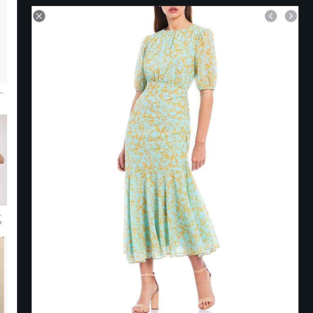 Sachin & Babi 8 Alexandra  georgette dress NWT